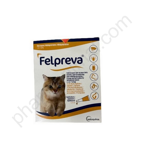 FELPREVA MEDIUM CATS S.O       	plaq/2    sol ext